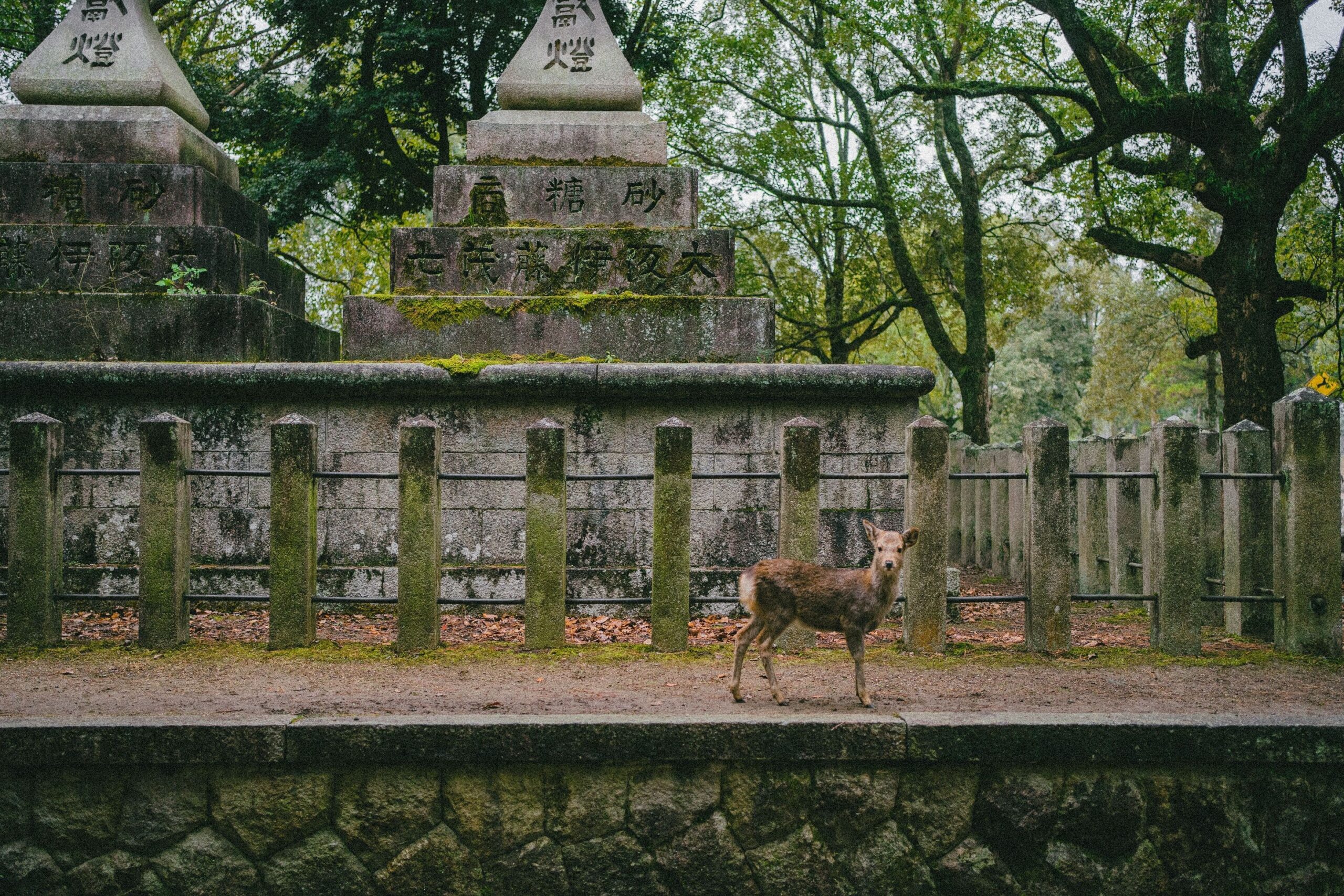 Nara