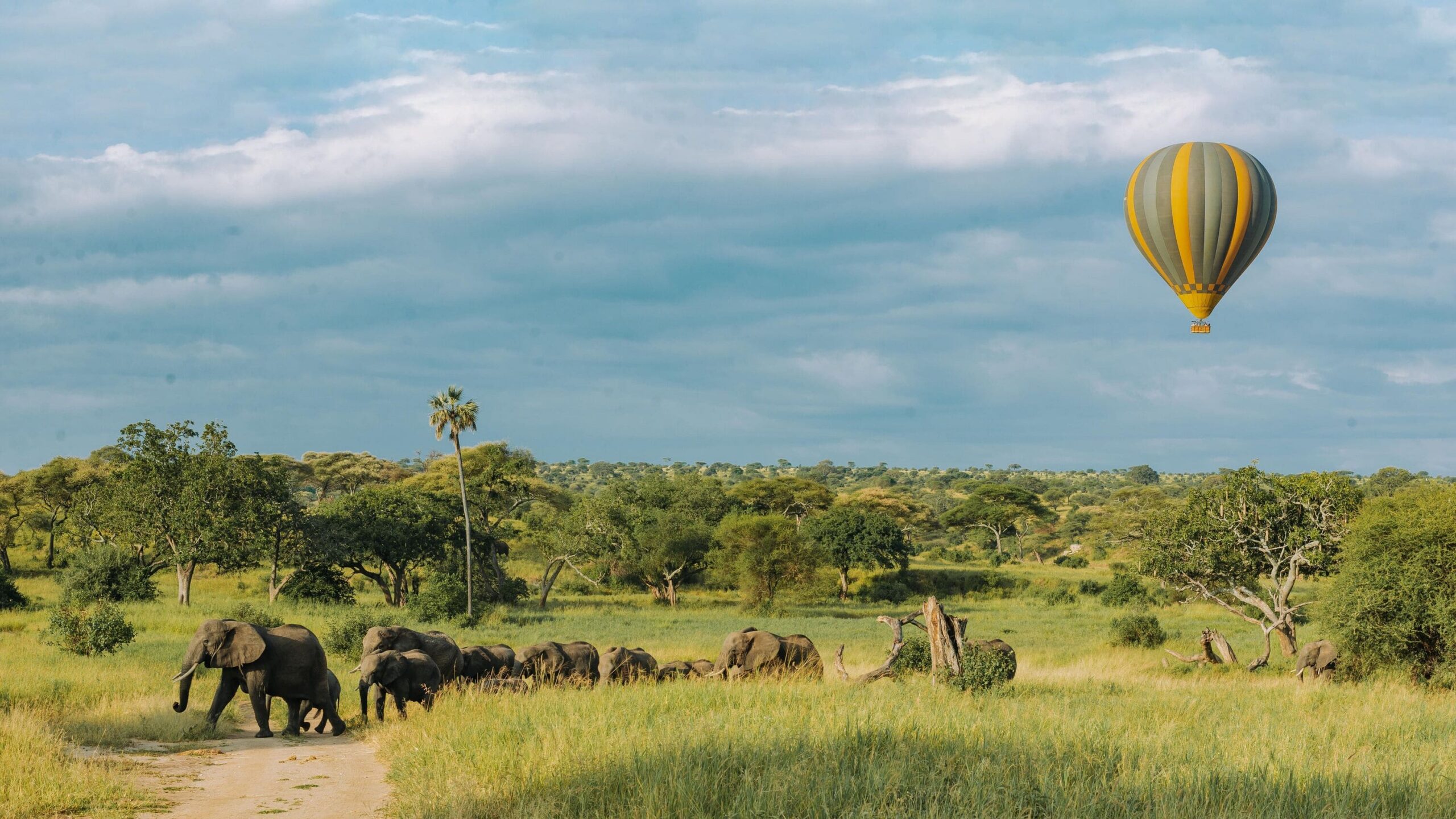 Tarangire